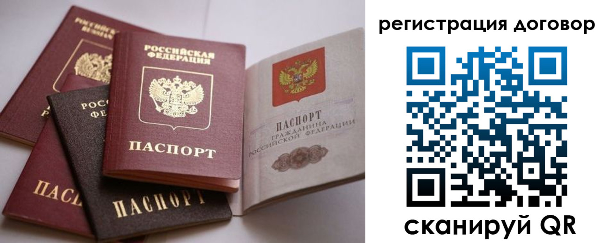 прописка в Сафоново